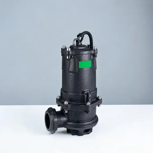 Cast iron sump pump